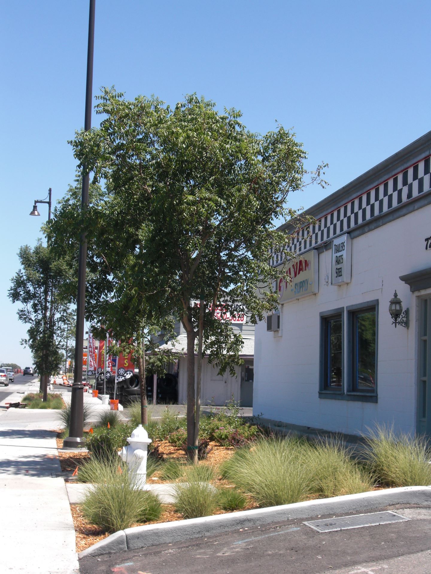 new streetscape